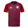 Original Fußballtrikot Costa Rica Heimtrikot 2024 Für Herren